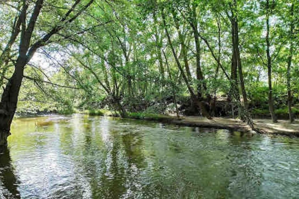 Eco Alojamiento La Cartuja De Talamanca Talamanca de Jarama Ngoại thất bức ảnh